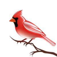 cardinal