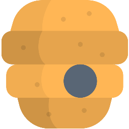 VidBee
