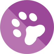 DiffDog Server