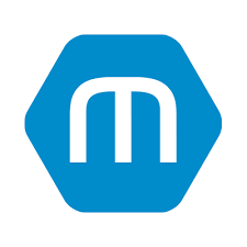 Maestro Annual Statement