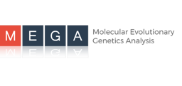 MEGA