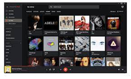 Google Play Music Manager