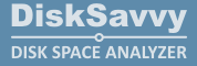 DiskSavvy Enterprise