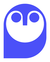 Meeting Owl
