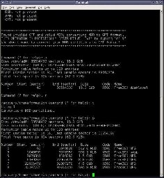 GPT fdisk