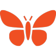 Chrysalis