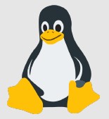 WSL Manager